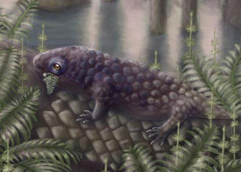 The Small Tetrapod That Changed History: A 307-Million-Year-Old Fossil Sheds Light on the First “Green” Revolution on Land