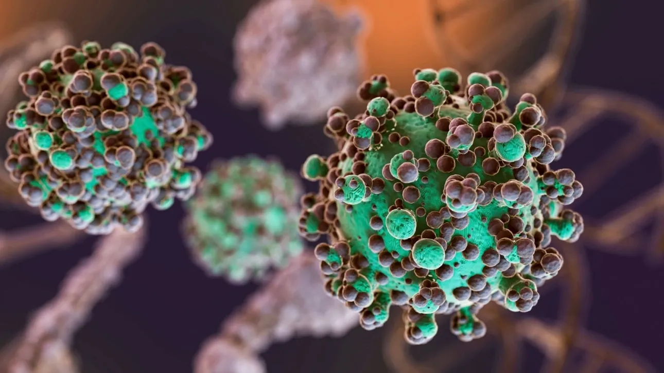 Study Warns of Over 3.5 Million New Breast Cancer Cases Annually by 2050