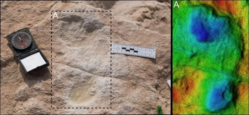 Unexpected discovery in Saudi Arabia: 115,000-year-old human footprints found where they shouldn’t be