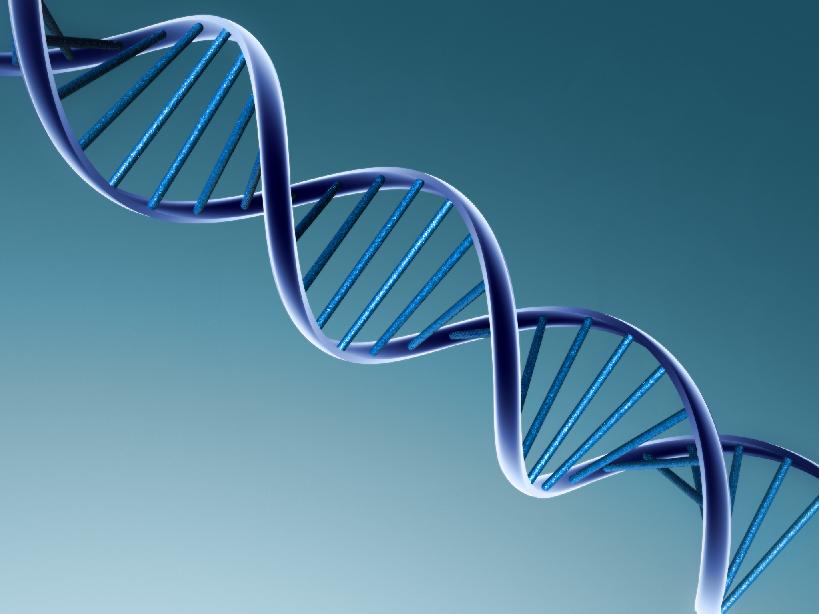 Ancient DNA reveals: Natural selection reshaped the human genome more recently than thought