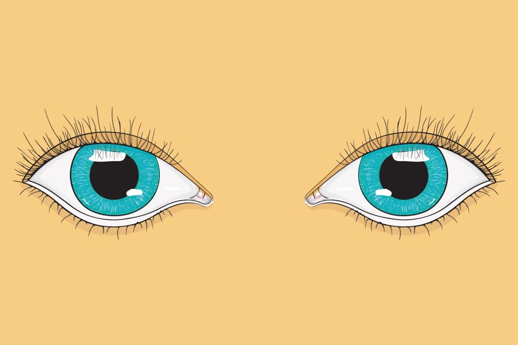 Human vision traces back to a worm-like ancestor 600 million years ago