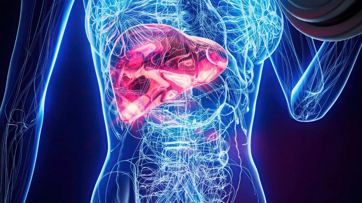 First genetic map of the human liver reveals why fats and carbohydrates affect it