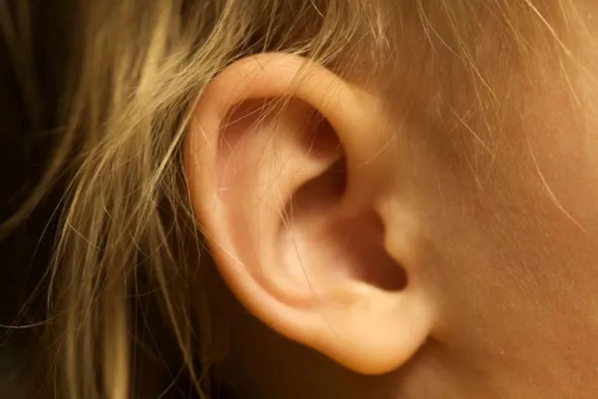 The curious case of earlobes – Scientists still debate their Evolutionary purpose
