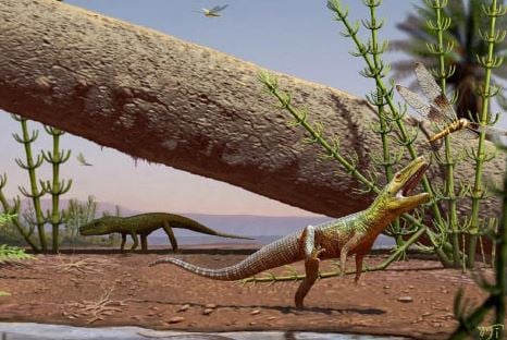 Before dinosaurs took over,  ancient bipedal crocodile relative uncovers a missing piece of evolutionary history