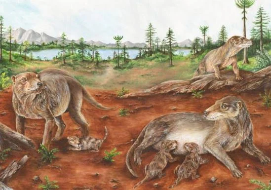 Scientists identify the earliest known animal that appears to have given birth to live young