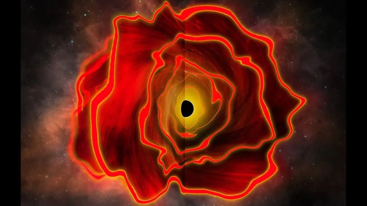 Black hole stars: Astronomers may have identified a new type of cosmic object
