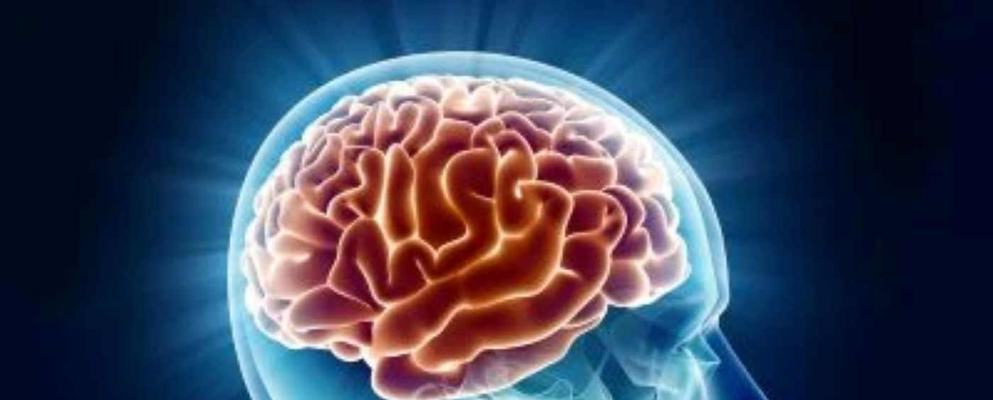 Scientists identify a major brain change that begins around age 50
