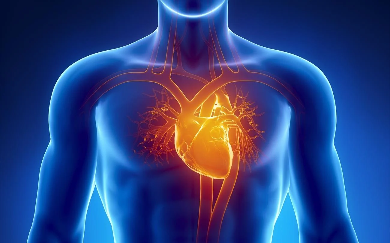 Stem Cell therapy improves heart function in 90% of patients in new clinical trial
