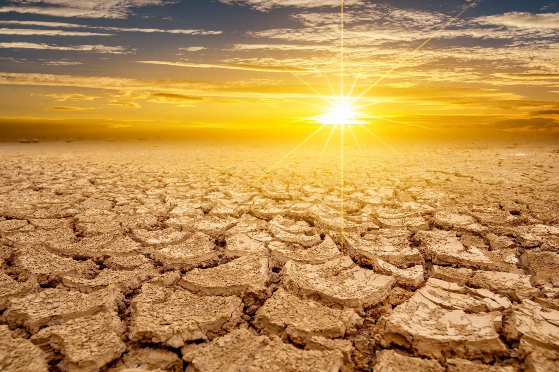 Extreme heat linked to a wide range of health problems – Children among the most vulnerable
