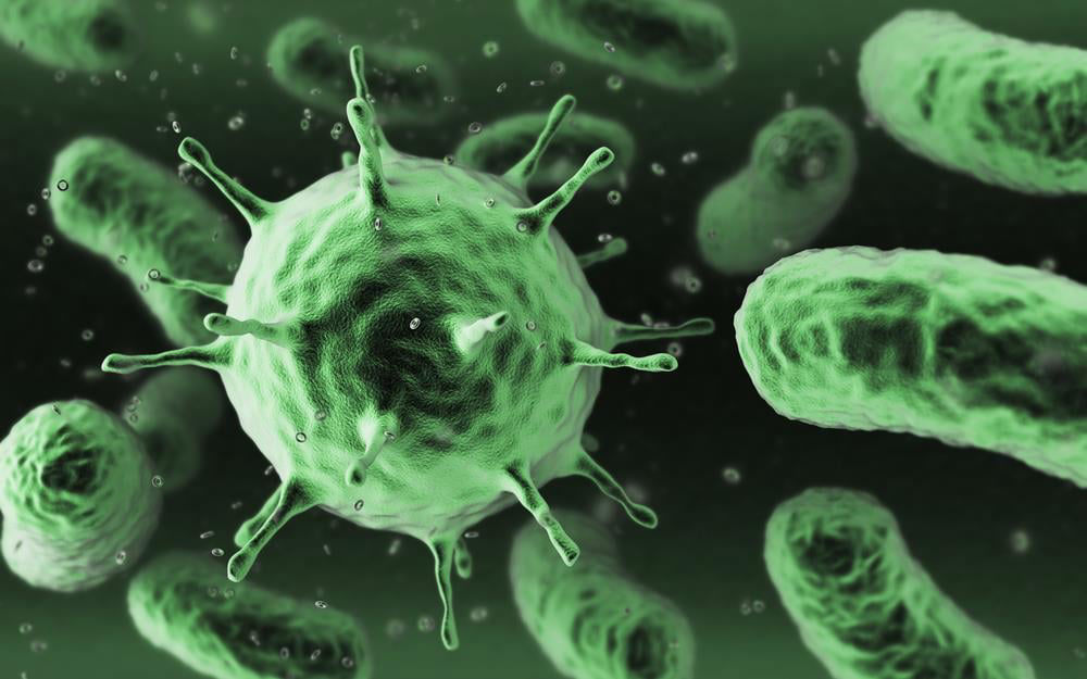 AI creates functional viruses that do not exist in nature for the first time